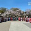 tour-nhat-han-thang-3-2025-hongminhtravel